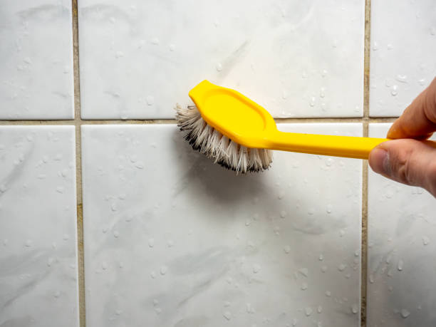 Best Mold Damage Repair  in Canyonville, OR