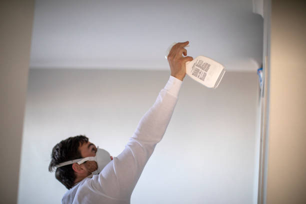 Best Certified Mold Removal  in Canyonville, OR